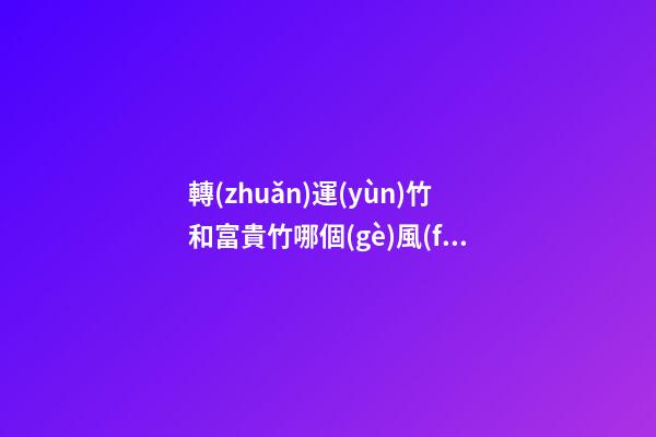轉(zhuǎn)運(yùn)竹和富貴竹哪個(gè)風(fēng)水更好，擺放竹子的講究